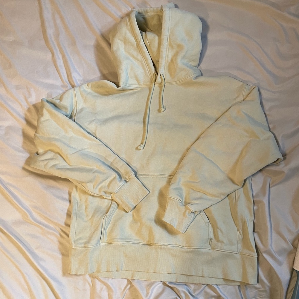 Aritzia TNA Boyfriend Hoodie